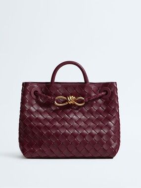 Bottega Veneta Small Andiamo - Barolo